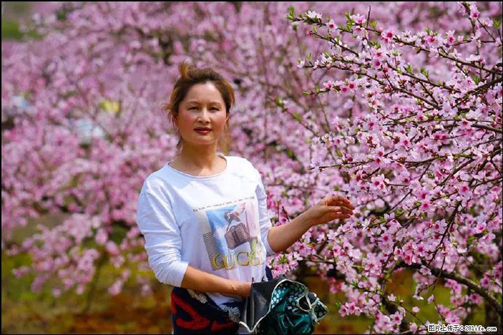 【春天，广西桂林灌阳县向您发出邀请！】官庄村有个醉美的桃花园 - 游山玩水 - 潮州生活社区 - 潮州28生活网 chaozhou.28life.net