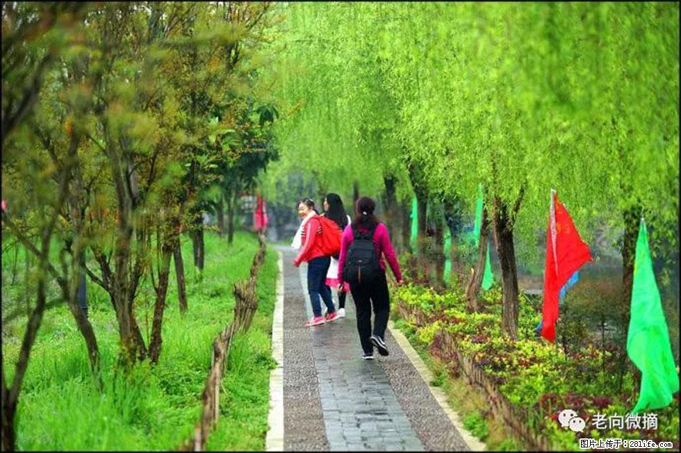 【春天，广西桂林灌阳县向您发出邀请！】江口老街又逢春 - 游山玩水 - 潮州生活社区 - 潮州28生活网 chaozhou.28life.net