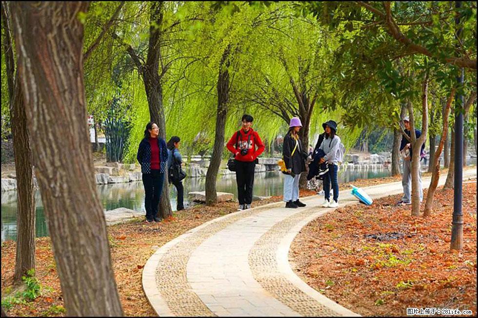 【春天，广西桂林灌阳县向您发出邀请！】江口老街又逢春 - 游山玩水 - 潮州生活社区 - 潮州28生活网 chaozhou.28life.net