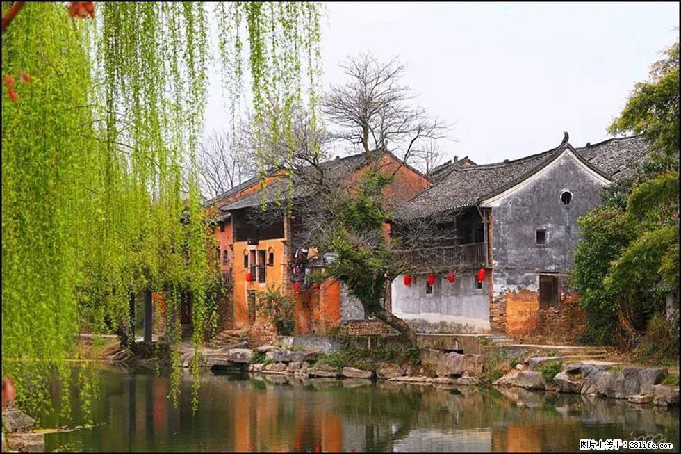 【春天，广西桂林灌阳县向您发出邀请！】江口老街又逢春 - 游山玩水 - 潮州生活社区 - 潮州28生活网 chaozhou.28life.net