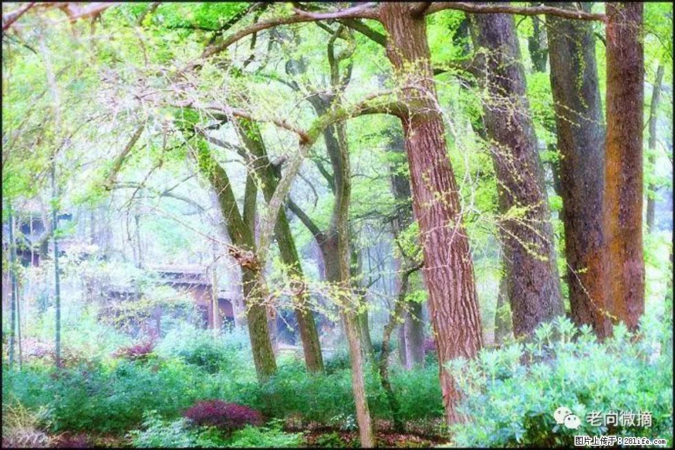 【春天，广西桂林灌阳县向您发出邀请！】在小龙村与春天约会 - 游山玩水 - 潮州生活社区 - 潮州28生活网 chaozhou.28life.net