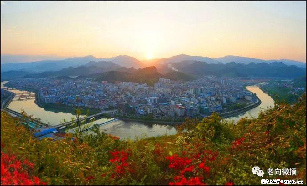 【春天，广西桂林灌阳县向您发出邀请！】登麒麟山，相约映山红 - 游山玩水 - 潮州生活社区 - 潮州28生活网 chaozhou.28life.net