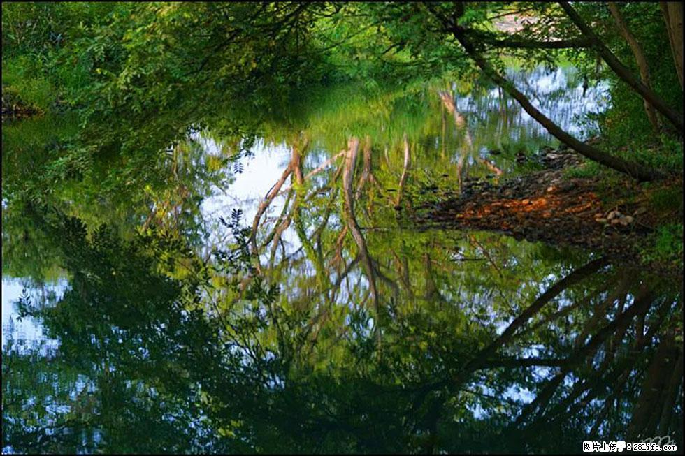 【春天，广西桂林灌阳县向您发出邀请！】熊家寨湿地公园 - 游山玩水 - 潮州生活社区 - 潮州28生活网 chaozhou.28life.net