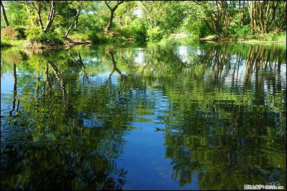 【春天，广西桂林灌阳县向您发出邀请！】熊家寨湿地公园 - 游山玩水 - 潮州生活社区 - 潮州28生活网 chaozhou.28life.net