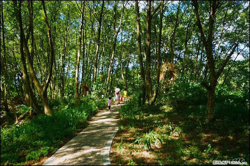 【春天，广西桂林灌阳县向您发出邀请！】熊家寨湿地公园 - 游山玩水 - 潮州生活社区 - 潮州28生活网 chaozhou.28life.net