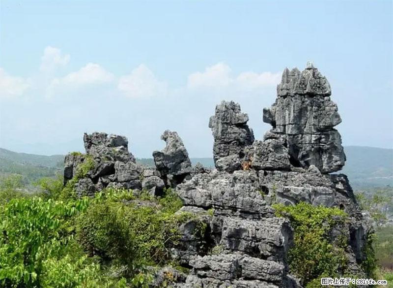 桂林旅游名城景点：灌阳文市石林 - 游山玩水 - 潮州生活社区 - 潮州28生活网 chaozhou.28life.net