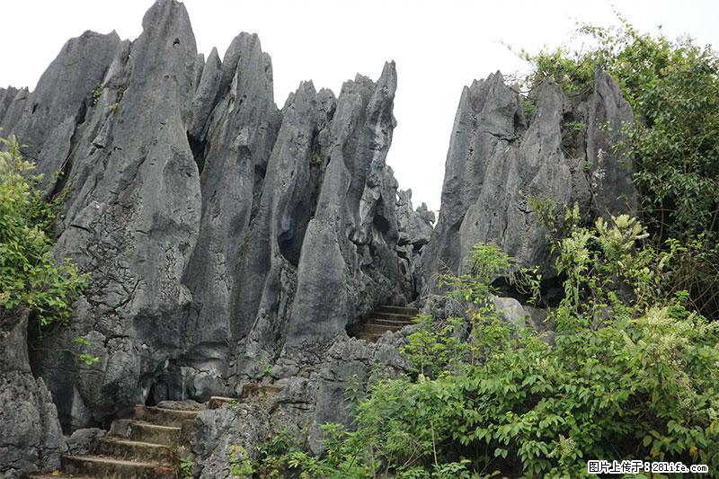 桂林旅游名城景点：灌阳文市石林 - 游山玩水 - 潮州生活社区 - 潮州28生活网 chaozhou.28life.net