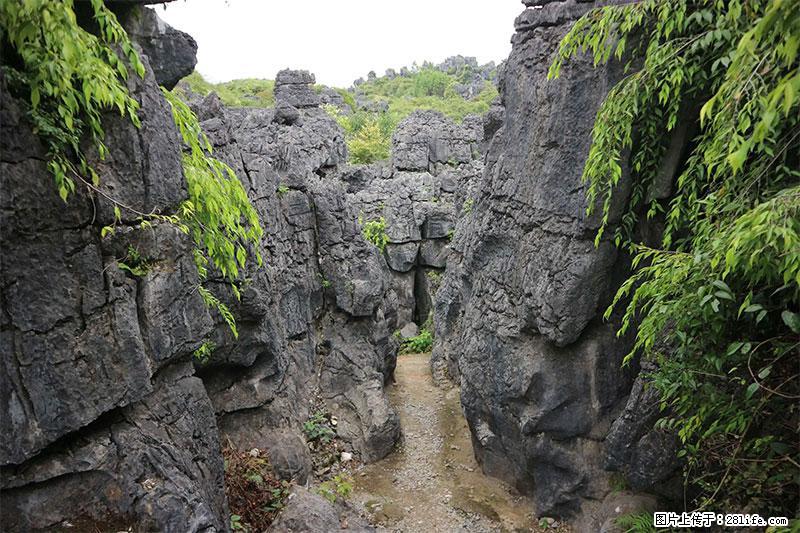 桂林旅游名城景点：灌阳文市石林 - 游山玩水 - 潮州生活社区 - 潮州28生活网 chaozhou.28life.net