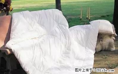 被子有异味？只要这样做，比晒太阳还强100倍！ - 家居生活 - 潮州生活社区 - 潮州28生活网 chaozhou.28life.net
