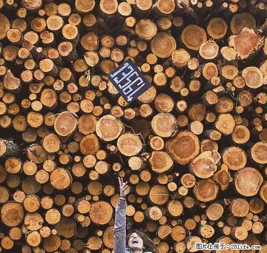 辞掉工作周游世界？现在他们在洗厕所…… - 游山玩水 - 潮州生活社区 - 潮州28生活网 chaozhou.28life.net