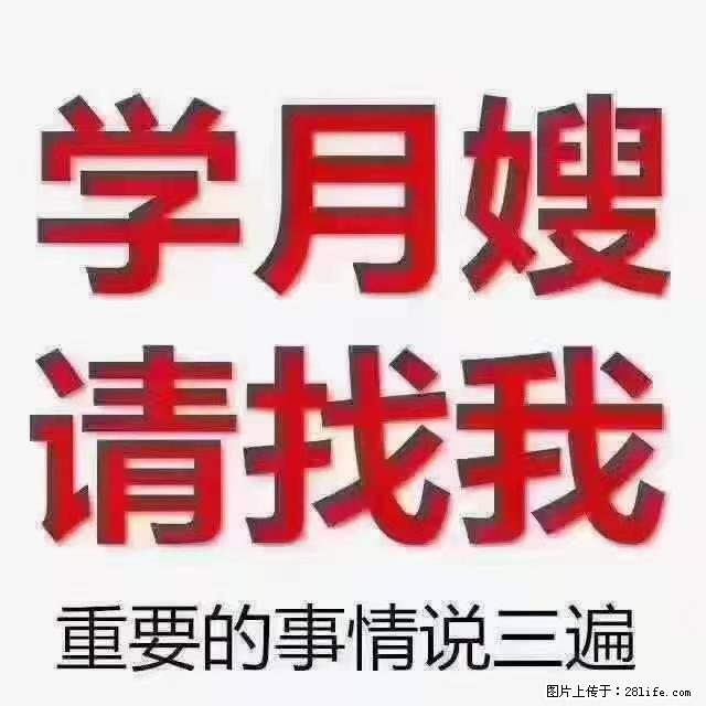 【招聘】月嫂，上海徐汇区 - 职场交流 - 潮州生活社区 - 潮州28生活网 chaozhou.28life.net