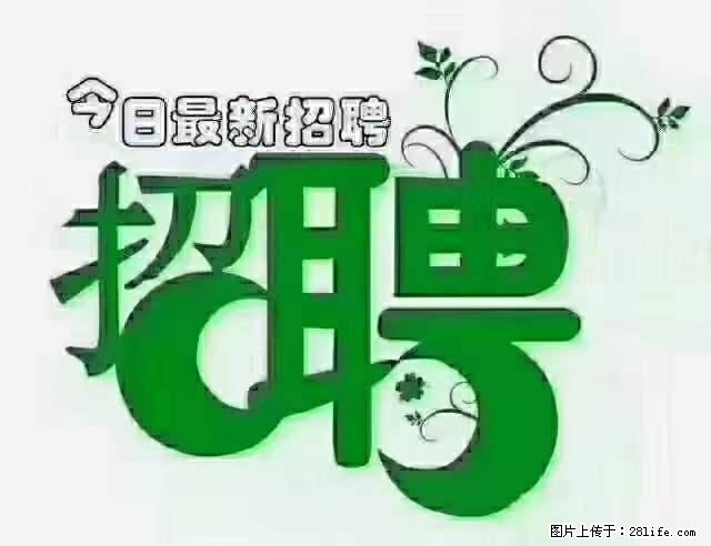 上海隔离酒店招人：55岁以下 男女不限 - 职场交流 - 潮州生活社区 - 潮州28生活网 chaozhou.28life.net