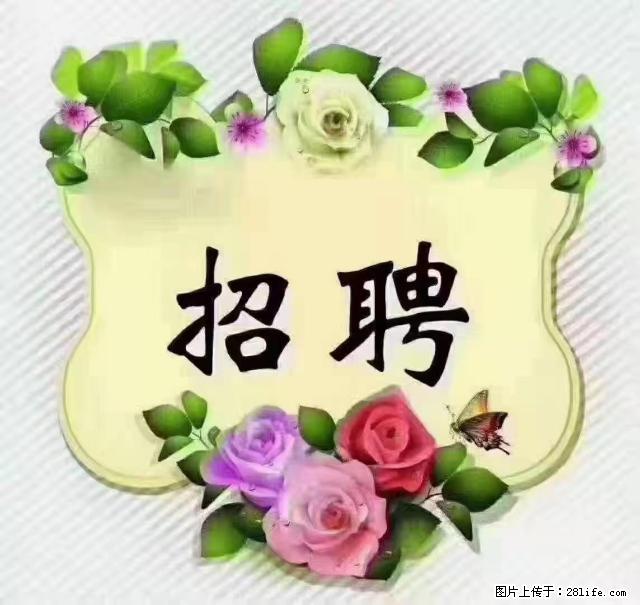 【招聘】住家育儿嫂,上户日期:4月4日,工作地址:上海 黄浦区 - 职场交流 - 潮州生活社区 - 潮州28生活网 chaozhou.28life.net