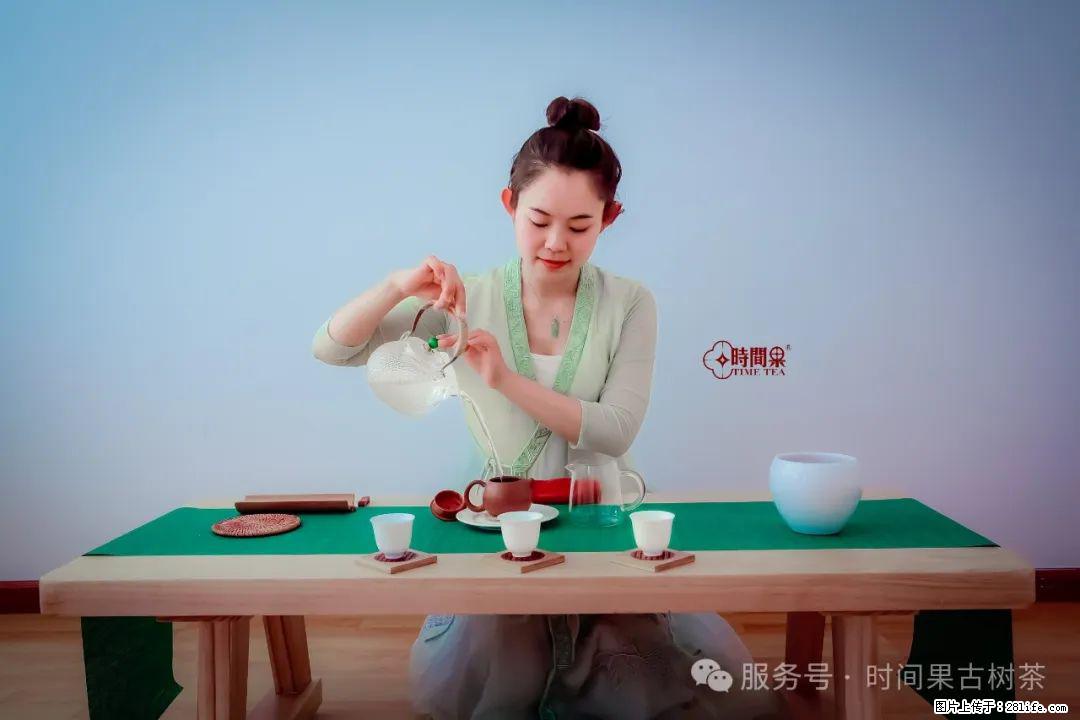 时间果百年古树龙珠普洱生茶 - 购物交流 - 潮州生活社区 - 潮州28生活网 chaozhou.28life.net