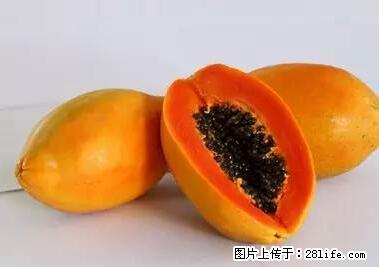 晕车、脚气、牙齿变黄、皮肤粗糙？学会这些三分钟搞定！ - 潮州生活资讯 - 潮州28生活网 chaozhou.28life.net