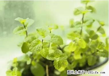 晕车、脚气、牙齿变黄、皮肤粗糙？学会这些三分钟搞定！ - 潮州生活资讯 - 潮州28生活网 chaozhou.28life.net