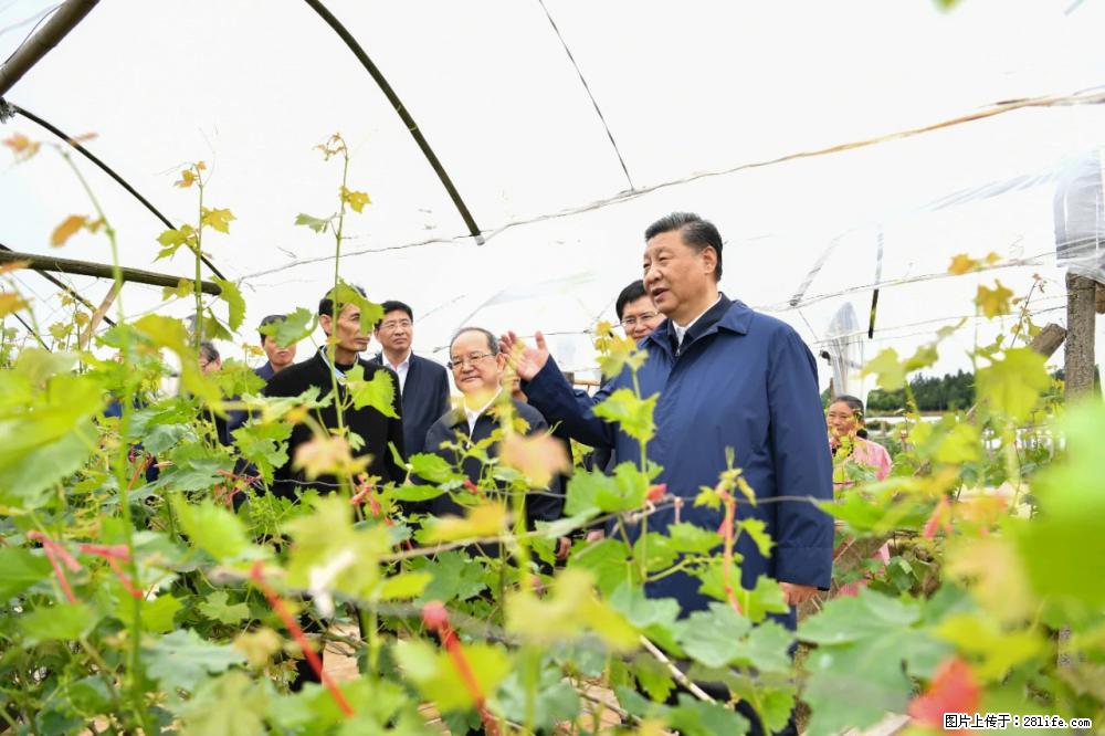 习近平赴广西考察调研 - 潮州生活资讯 - 潮州28生活网 chaozhou.28life.net