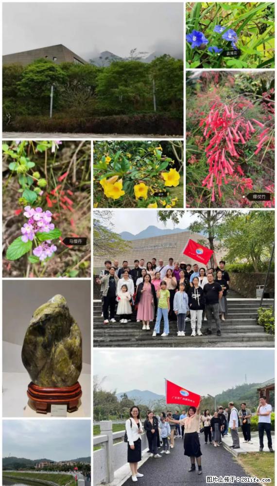 “粤灌文化 美好生活”油茶文化主题活动在广东深圳成功举办 - 潮州生活资讯 - 潮州28生活网 chaozhou.28life.net