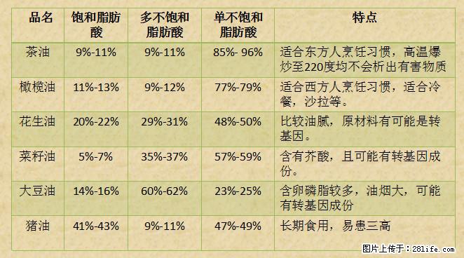 揭秘茶油的5大核心营养成分！被称为人体健康的“守护盾”！ - 潮州生活资讯 - 潮州28生活网 chaozhou.28life.net