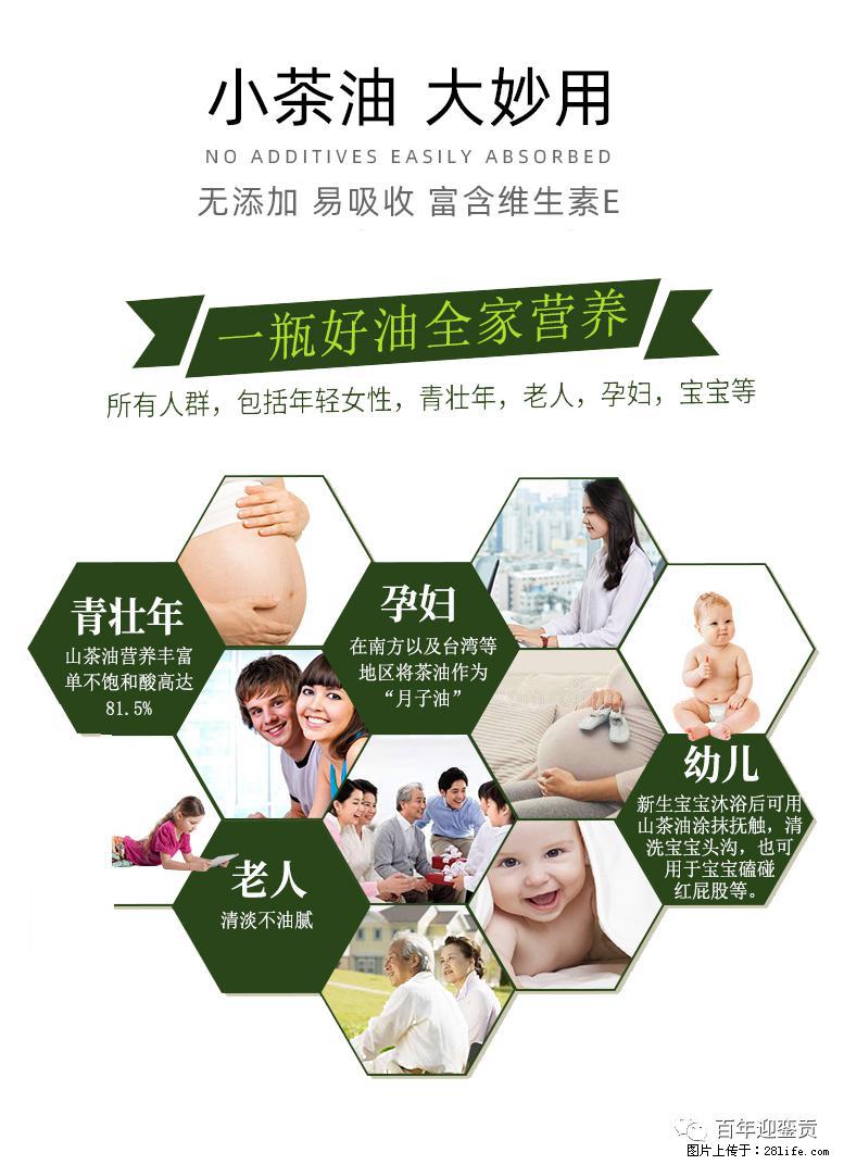世界没有真相，只有认知，最好的食用油是中国的山茶油！ - 潮州生活资讯 - 潮州28生活网 chaozhou.28life.net