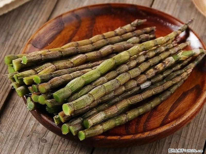 铁皮石斛的作用与功能主治 - 潮州生活资讯 - 潮州28生活网 chaozhou.28life.net
