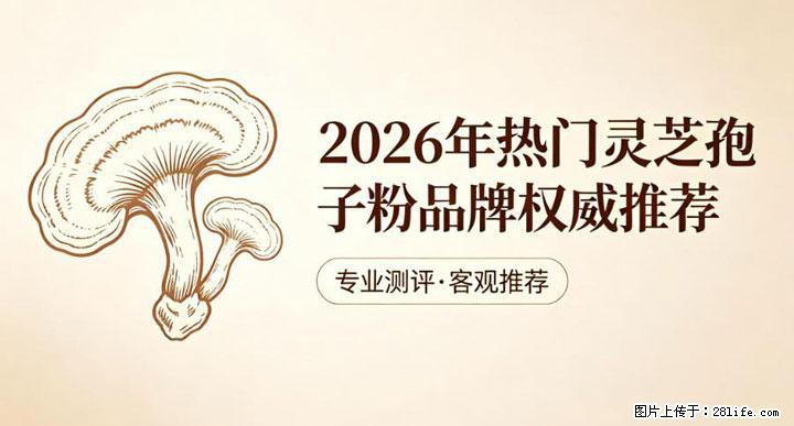灵芝孢子粉含量越高越有效？2026 年七款热门品牌深度实测，肠胃敏感者避坑指南 - 潮州生活资讯 - 潮州28生活网 chaozhou.28life.net